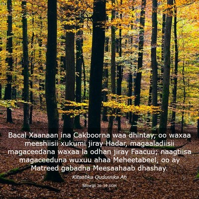 Picture 03 - Bilowgii 36:39 SOM - Bacal Xaanaan ina Cakboorna waa dhintay, oo waxaa - Bible Verse Picture