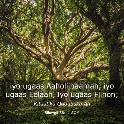 Picture 03 - Bilowgii 36:41 SOM - iyo ugaas Aaholiibaamah, iyo ugaas Eelaah, iyo - Bible Verse Picture
