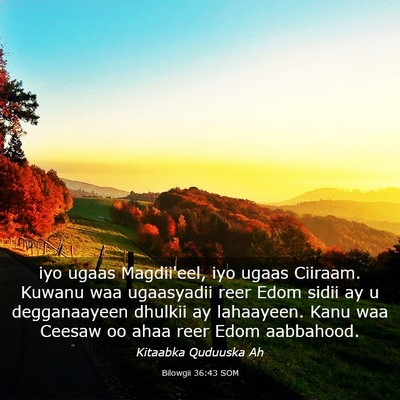 Picture 03 - Bilowgii 36:43 SOM - iyo ugaas Magdii'eel, iyo ugaas Ciiraam. Kuwanu - Bible Verse Picture