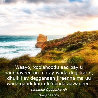 Picture 03 - Bilowgii 36:7 SOM - Waayo, xoolahoodu aad bay u badnaayeen oo ma ay - Bible Verse Picture