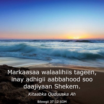 Picture 03 - Bilowgii 37:12 SOM - Markaasaa walaalihiis tageen, inay adhigii - Bible Verse Picture