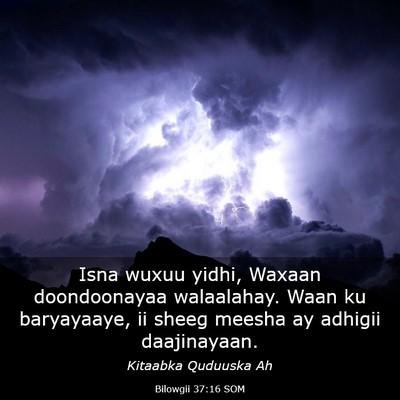 Picture 03 - Bilowgii 37:16 SOM - Isna wuxuu yidhi, Waxaan doondoonayaa walaalahay. - Bible Verse Picture