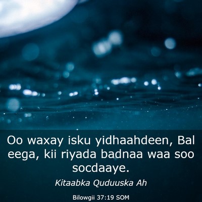 Picture 03 - Bilowgii 37:19 SOM - Oo waxay isku yidhaahdeen, Bal eega, kii riyada - Bible Verse Picture
