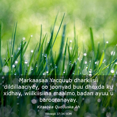 Picture 03 - Bilowgii 37:34 SOM - Markaasaa Yacquub dharkiisii dildillaaciyey, oo - Bible Verse Picture