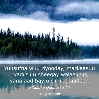 Picture 03 - Bilowgii 37:5 SOM - Yuusufna wuu riyooday, markaasuu riyadiisii u - Bible Verse Picture