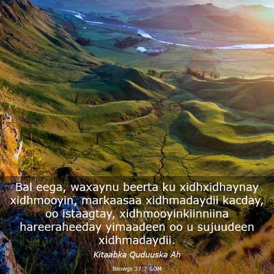 Picture 03 - Bilowgii 37:7 SOM - Bal eega, waxaynu beerta ku xidhxidhaynay - Bible Verse Picture