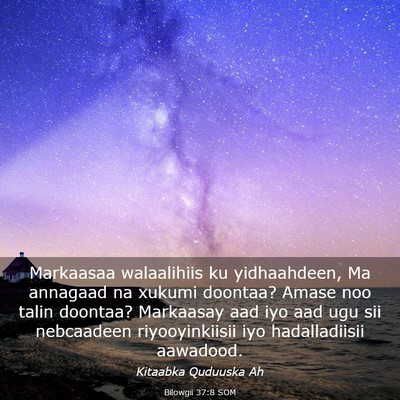 Picture 03 - Bilowgii 37:8 SOM - Markaasaa walaalihiis ku yidhaahdeen, Ma annagaad - Bible Verse Picture