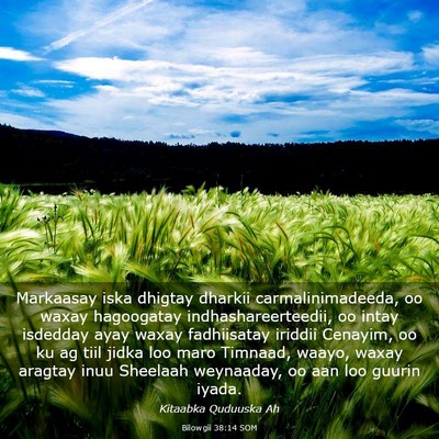 Picture 03 - Bilowgii 38:14 SOM - Markaasay iska dhigtay dharkii carmalinimadeeda, - Bible Verse Picture
