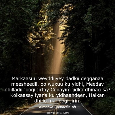 Picture 03 - Bilowgii 38:21 SOM - Markaasuu weyddiiyey dadkii degganaa meesheedii, - Bible Verse Picture
