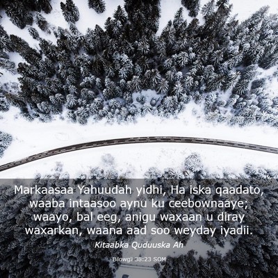 Picture 03 - Bilowgii 38:23 SOM - Markaasaa Yahuudah yidhi, Ha iska qaadato, waaba - Bible Verse Picture