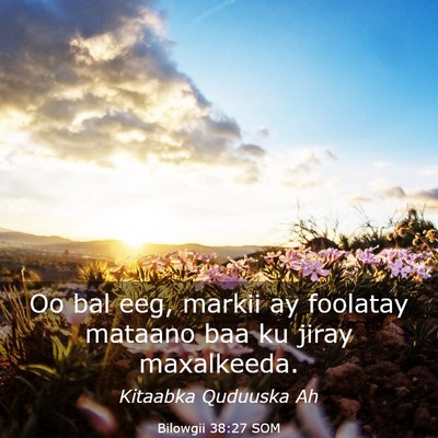 Picture 03 - Bilowgii 38:27 SOM - Oo bal eeg, markii ay foolatay mataano baa ku - Bible Verse Picture