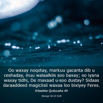 Picture 03 - Bilowgii 38:29 SOM - Oo waxay noqotay, markuu gacanta dib u ceshaday, - Bible Verse Picture