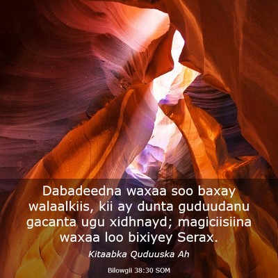 Picture 03 - Bilowgii 38:30 SOM - Dabadeedna waxaa soo baxay walaalkiis, kii ay - Bible Verse Picture