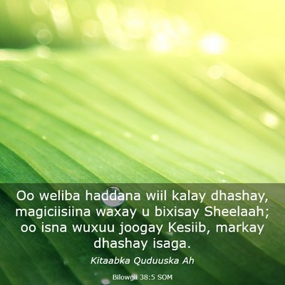 Picture 03 - Bilowgii 38:5 SOM - Oo weliba haddana wiil kalay dhashay, - Bible Verse Picture