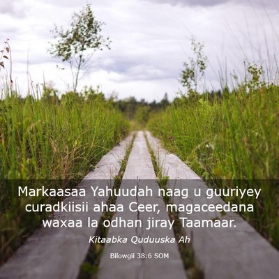 Picture 03 - Bilowgii 38:6 SOM - Markaasaa Yahuudah naag u guuriyey curadkiisii - Bible Verse Picture