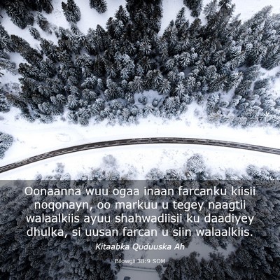 Picture 03 - Bilowgii 38:9 SOM - Oonaanna wuu ogaa inaan farcanku kiisii noqonayn, - Bible Verse Picture