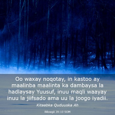 Picture 03 - Bilowgii 39:10 SOM - Oo waxay noqotay, in kastoo ay maalinba maalinta - Bible Verse Picture