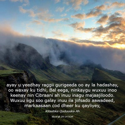Picture 03 - Bilowgii 39:14 SOM - ayay u yeedhay raggii gurigeeda oo ay la - Bible Verse Picture
