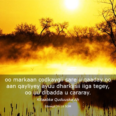 Picture 03 - Bilowgii 39:18 SOM - oo markaan codkaygii sare u qaaday oo aan - Bible Verse Picture