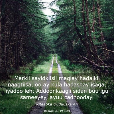 Picture 03 - Bilowgii 39:19 SOM - Markii sayidkiisii maqlay hadalkii naagtiisa, oo - Bible Verse Picture