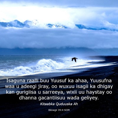 Picture 03 - Bilowgii 39:4 SOM - Isaguna raalli buu Yuusuf ka ahaa, Yuusufna waa u - Bible Verse Picture