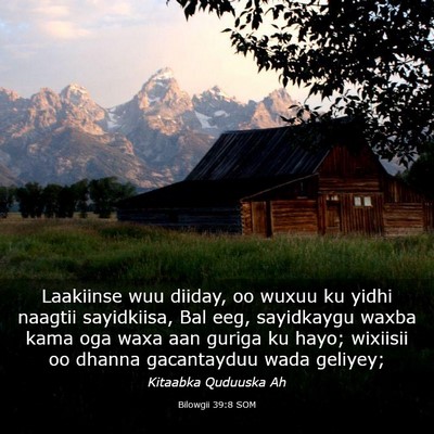 Picture 03 - Bilowgii 39:8 SOM - Laakiinse wuu diiday, oo wuxuu ku yidhi naagtii - Bible Verse Picture