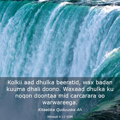 Picture 03 - Bilowgii 4:12 SOM - Kolkii aad dhulka beeratid, wax badan kuuma dhali - Bible Verse Picture