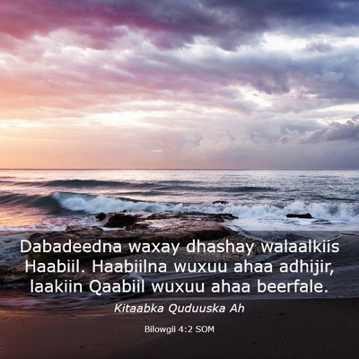 Picture 03 - Bilowgii 4:2 SOM - Dabadeedna waxay dhashay walaalkiis Haabiil. - Bible Verse Picture