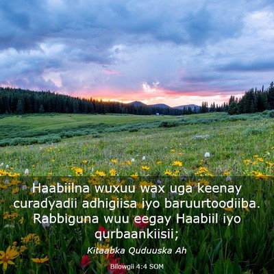 Picture 03 - Bilowgii 4:4 SOM - Haabiilna wuxuu wax uga keenay curadyadii - Bible Verse Picture