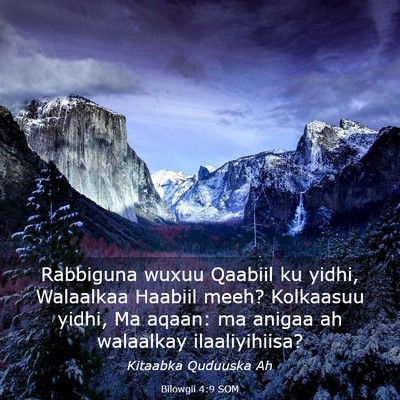 Picture 03 - Bilowgii 4:9 SOM - Rabbiguna wuxuu Qaabiil ku yidhi, Walaalkaa - Bible Verse Picture