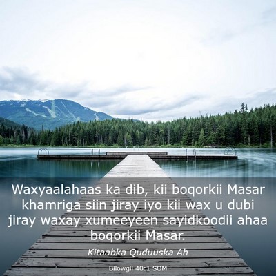 Picture 03 - Bilowgii 40:1 SOM - Waxyaalahaas ka dib, kii boqorkii Masar khamriga - Bible Verse Picture