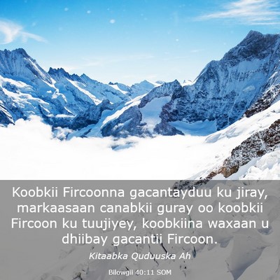 Picture 03 - Bilowgii 40:11 SOM - Koobkii Fircoonna gacantayduu ku jiray, - Bible Verse Picture
