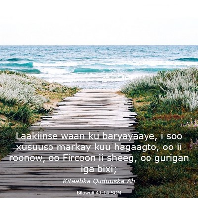 Picture 03 - Bilowgii 40:14 SOM - Laakiinse waan ku baryayaaye, i soo xusuuso - Bible Verse Picture