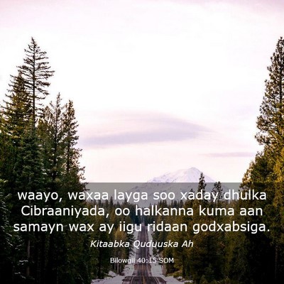 Picture 03 - Bilowgii 40:15 SOM - waayo, waxaa layga soo xaday dhulka Cibraaniyada, - Bible Verse Picture