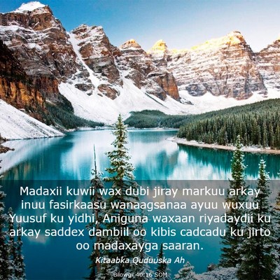 Picture 03 - Bilowgii 40:16 SOM - Madaxii kuwii wax dubi jiray markuu arkay inuu - Bible Verse Picture