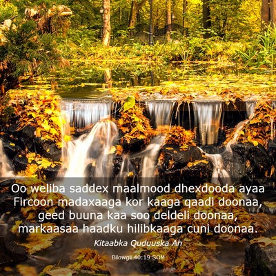 Picture 03 - Bilowgii 40:19 SOM - Oo weliba saddex maalmood dhexdooda ayaa Fircoon - Bible Verse Picture