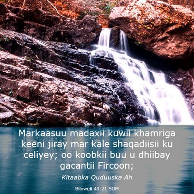 Picture 03 - Bilowgii 40:21 SOM - Markaasuu madaxii kuwii khamriga keeni jiray mar - Bible Verse Picture