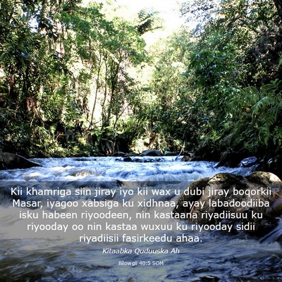 Picture 03 - Bilowgii 40:5 SOM - Kii khamriga siin jiray iyo kii wax u dubi jiray - Bible Verse Picture