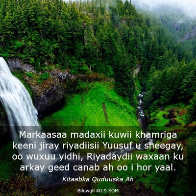 Picture 03 - Bilowgii 40:9 SOM - Markaasaa madaxii kuwii khamriga keeni jiray - Bible Verse Picture