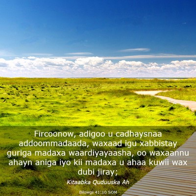Picture 03 - Bilowgii 41:10 SOM - Fircoonow, adigoo u cadhaysnaa addoommadaada, - Bible Verse Picture