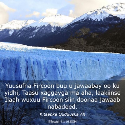 Picture 03 - Bilowgii 41:16 SOM - Yuusufna Fircoon buu u jawaabay oo ku yidhi, - Bible Verse Picture