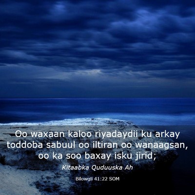 Picture 03 - Bilowgii 41:22 SOM - Oo waxaan kaloo riyadaydii ku arkay toddoba - Bible Verse Picture