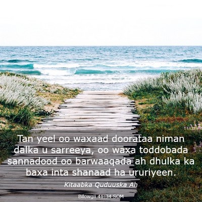 Picture 03 - Bilowgii 41:34 SOM - Tan yeel oo waxaad doorataa niman dalka u - Bible Verse Picture
