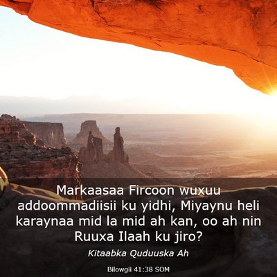 Picture 03 - Bilowgii 41:38 SOM - Markaasaa Fircoon wuxuu addoommadiisii ku yidhi, - Bible Verse Picture