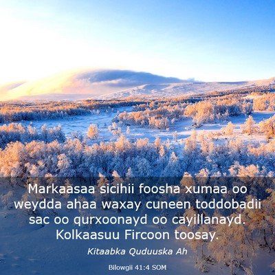 Picture 03 - Bilowgii 41:4 SOM - Markaasaa sicihii foosha xumaa oo weydda ahaa - Bible Verse Picture