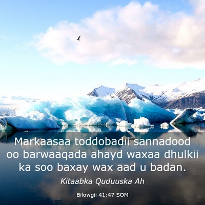 Picture 03 - Bilowgii 41:47 SOM - Markaasaa toddobadii sannadood oo barwaaqada - Bible Verse Picture