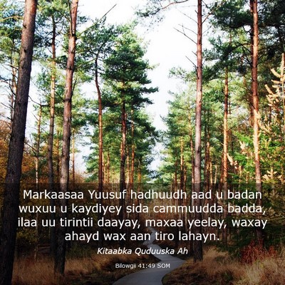 Picture 03 - Bilowgii 41:49 SOM - Markaasaa Yuusuf hadhuudh aad u badan wuxuu u - Bible Verse Picture