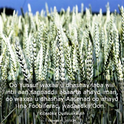 Picture 03 - Bilowgii 41:50 SOM - Oo Yuusuf waxaa u dhashay laba wiil intii aan - Bible Verse Picture