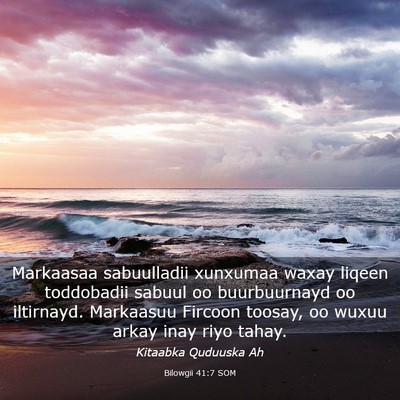Picture 03 - Bilowgii 41:7 SOM - Markaasaa sabuulladii xunxumaa waxay liqeen - Bible Verse Picture