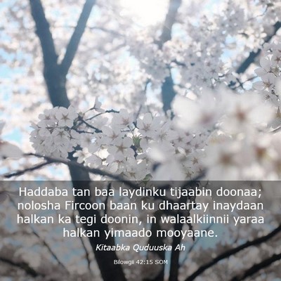 Picture 03 - Bilowgii 42:15 SOM - Haddaba tan baa laydinku tijaabin doonaa; nolosha - Bible Verse Picture